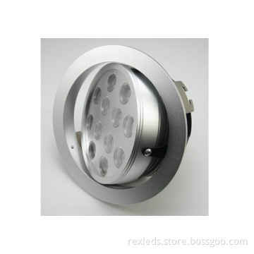 High Brightness Ip20 12 W Led Down Light Fixtures For Ceiling Lighting Rex-d028-12w